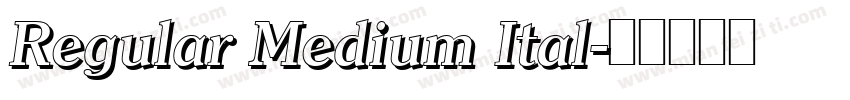Regular Medium Ital字体转换